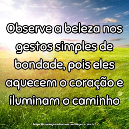 Observe a beleza nos gestos simples de bondade, pois eles aquecem o coração e iluminam o caminho.