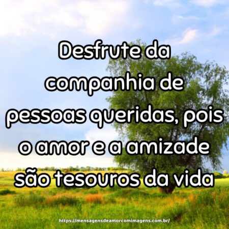 Desfrute da companhia de pessoas queridas, pois o amor e a amizade são tesouros da vida.