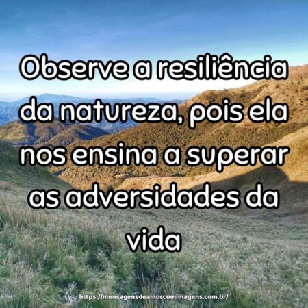 Observe a resiliência da natureza, pois ela nos ensina a superar as adversidades da vida.