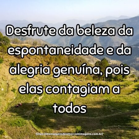 Desfrute da beleza da espontaneidade e da alegria genuína, pois elas contagiam a todos.