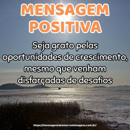 Seja grato pelas oportunidades de crescimento, mesmo que venham disfarçadas de desafios.