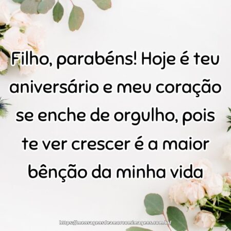 Filho, parabéns! Hoje é teu aniversário e meu coração se enche de orgulho, pois te ver crescer é a maior bênção da minha vida.