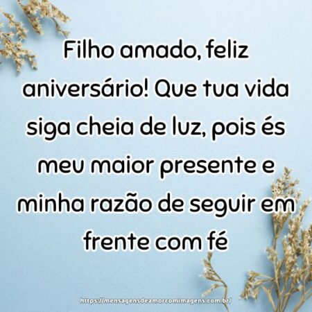 Filho amado, feliz aniversário! Que tua vida siga cheia de luz, pois és meu maior presente e minha razão de seguir em frente com fé.