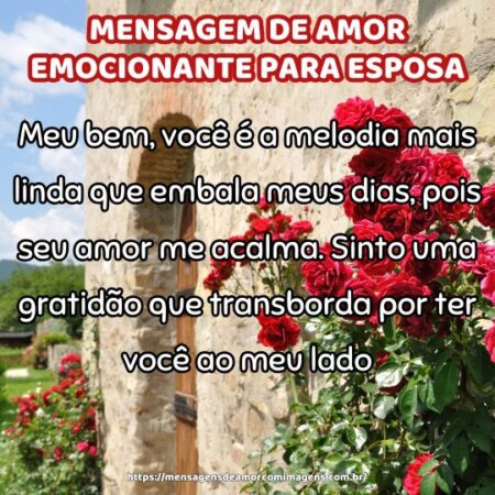 Meu bem, você é a melodia mais linda que embala meus dias, pois seu amor me acalma. Sinto uma gratidão que transborda por ter você ao meu lado.