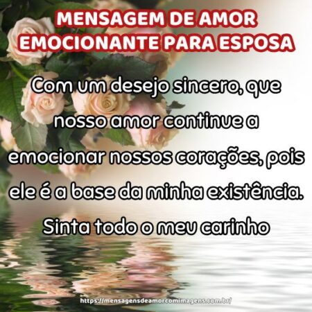 Com um desejo sincero, que nosso amor continue a emocionar nossos corações, pois ele é a base da minha existência. Sinta todo o meu carinho.