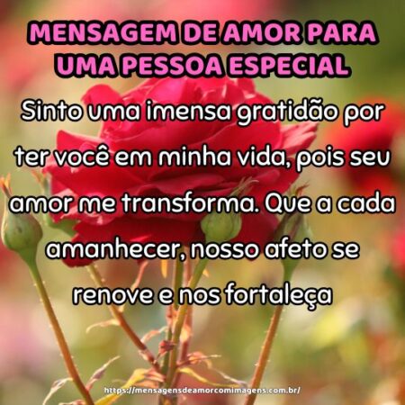 Sinto uma imensa gratidão por ter você em minha vida, pois seu amor me transforma. Que a cada amanhecer, nosso afeto se renove e nos fortaleça.