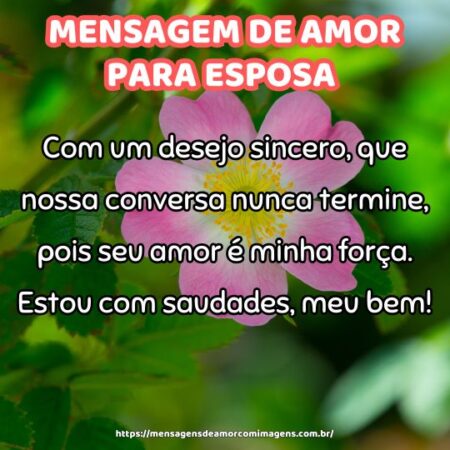 Com um desejo sincero, que nossa conversa nunca termine, pois seu amor é minha força. Estou com saudades, meu bem!