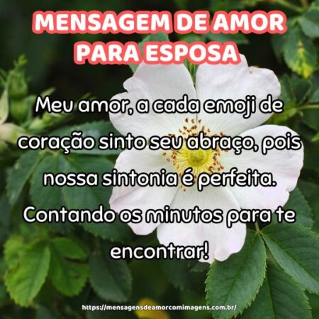 Meu amor, a cada emoji de coração sinto seu abraço, pois nossa sintonia é perfeita. Contando os minutos para te encontrar!