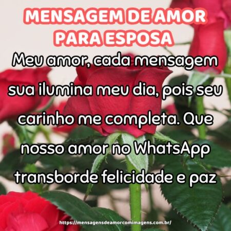 Meu amor, cada mensagem sua ilumina meu dia, pois seu carinho me completa. Que nosso amor no WhatsApp transborde felicidade e paz!