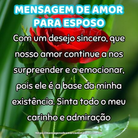 Com um desejo sincero, que nosso amor continue a nos surpreender e a emocionar, pois ele é a base da minha existência. Sinta todo o meu carinho e admiração.
