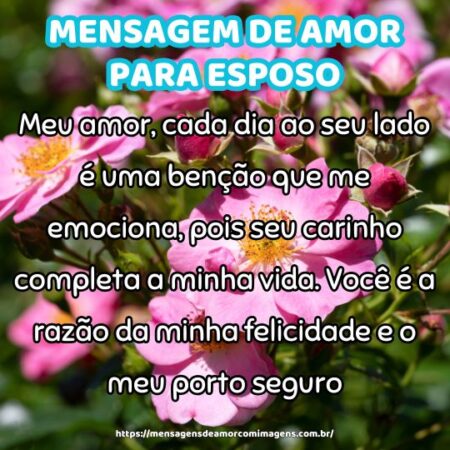Meu amor, cada dia ao seu lado é uma benção que me emociona, pois seu carinho completa a minha vida. Você é a razão da minha felicidade e o meu porto seguro.