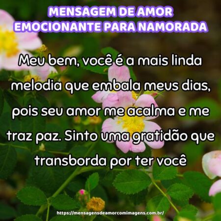 Meu bem, você é a mais linda melodia que embala meus dias, pois seu amor me acalma e me traz paz. Sinto uma gratidão que transborda por ter você.