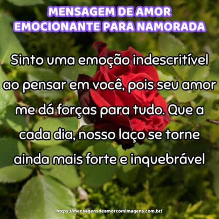 Sinto uma emoção indescritível ao pensar em você, pois seu amor me dá forças para tudo. Que a cada dia, nosso laço se torne ainda mais forte e inquebrável.