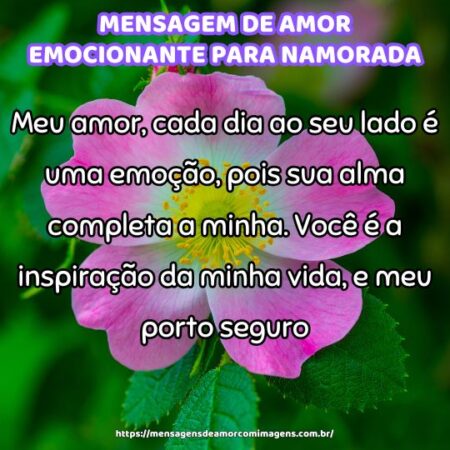 Meu amor, cada dia ao seu lado é uma emoção, pois sua alma completa a minha. Você é a inspiração da minha vida, e meu porto seguro.