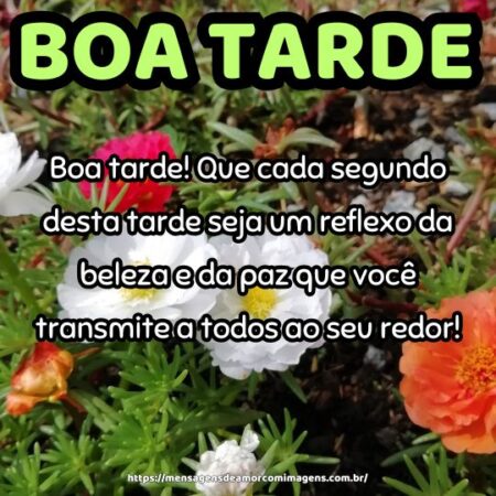 Boa tarde! Que cada segundo desta tarde seja um reflexo da beleza e da paz que você transmite a todos ao seu redor!