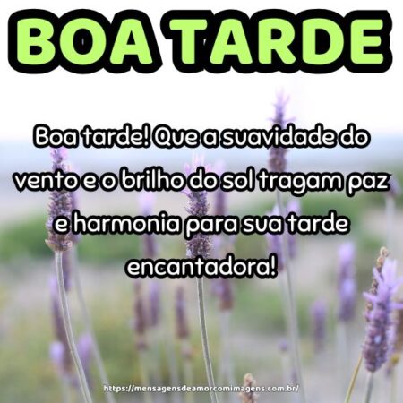 Boa tarde! Que a suavidade do vento e o brilho do sol tragam paz e harmonia para sua tarde encantadora!