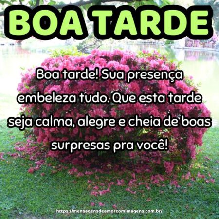 Boa tarde! Sua presença embeleza tudo. Que esta tarde seja calma, alegre e cheia de boas surpresas pra você!