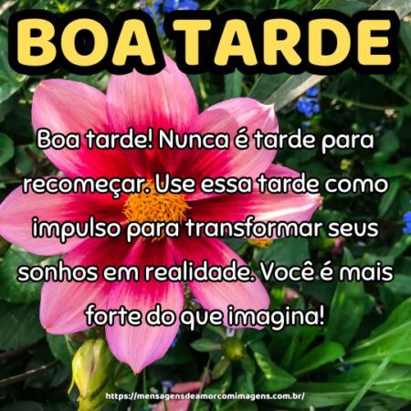 Boa tarde! Nunca é tarde para recomeçar. Use essa tarde como impulso para transformar seus sonhos em realidade. Você é mais forte do que imagina!