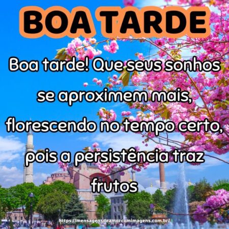 Boa tarde! Que seus sonhos se aproximem mais, florescendo no tempo certo, pois a persistência traz frutos.