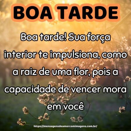 Boa tarde! Sua força interior te impulsiona, como a raiz de uma flor, pois a capacidade de vencer mora em você.