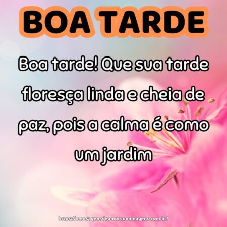 Boa tarde! Que sua tarde floresça linda e cheia de paz, pois a calma é como um jardim.