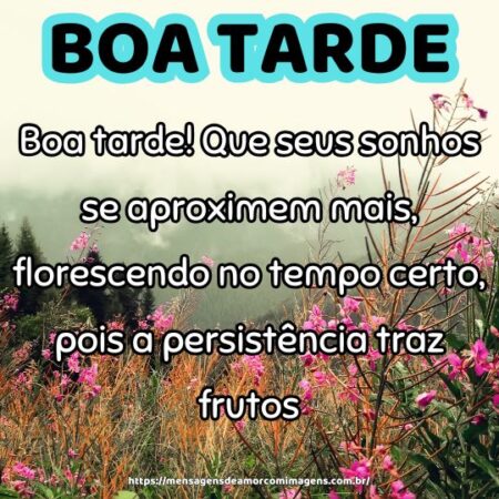Boa tarde! Que seus sonhos se aproximem mais, florescendo no tempo certo, pois a persistência traz frutos.