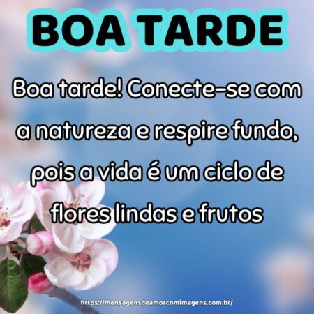 Boa tarde! Conecte-se com a natureza e respire fundo, pois a vida é um ciclo de flores lindas e frutos.