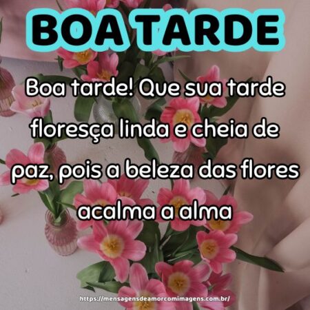 Boa tarde! Que sua tarde floresça linda e cheia de paz, pois a beleza das flores acalma a alma.
