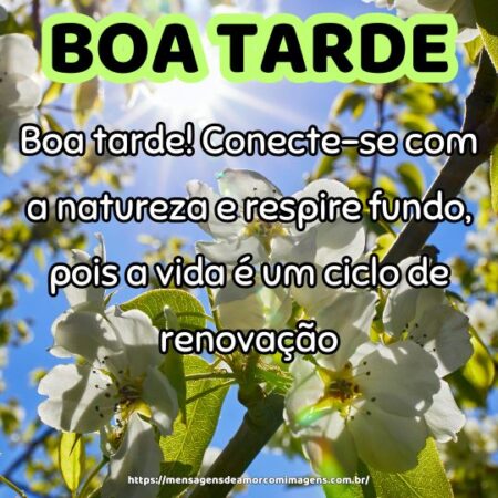 Boa tarde! Conecte-se com a natureza e respire fundo, pois a vida é um ciclo de renovação.