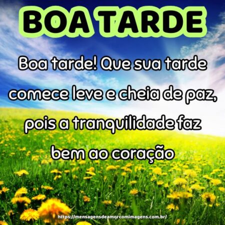 Boa tarde! Que sua tarde comece leve e cheia de paz, pois a tranquilidade faz bem ao coração.