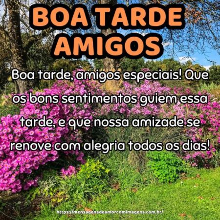 Boa tarde, amigos especiais! Que os bons sentimentos guiem essa tarde, e que nossa amizade se renove com alegria todos os dias!
