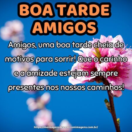Amigos, uma boa tarde cheia de motivos para sorrir! Que o carinho e a amizade estejam sempre presentes nos nossos caminhos!