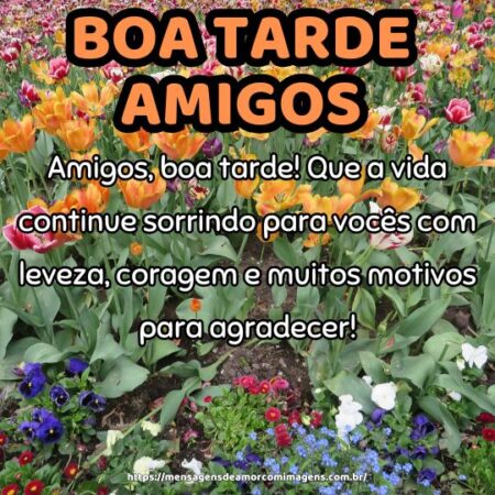 Amigos, boa tarde! Que a vida continue sorrindo para vocês com leveza, coragem e muitos motivos para agradecer!