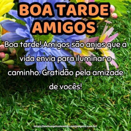 Boa tarde! Amigos são anjos que a vida envia para iluminar o caminho. Gratidão pela amizade de vocês!