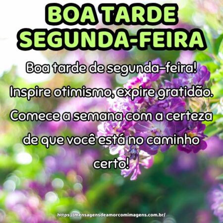 Boa tarde de segunda-feira! Inspire otimismo, expire gratidão. Comece a semana com a certeza de que você está no caminho certo!