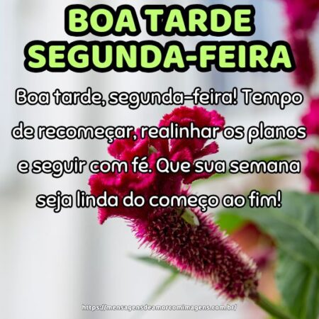 Boa tarde, segunda-feira! Tempo de recomeçar, realinhar os planos e seguir com fé. Que sua semana seja linda do começo ao fim!