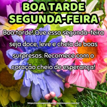 Boa tarde! Que essa segunda-feira seja doce, leve e cheia de boas surpresas. Recomece com o coração cheio de esperança!