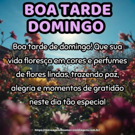 Boa tarde de domingo! Que sua vida floresça em cores e perfumes de flores lindas, trazendo paz, alegria e momentos de gratidão neste dia tão especial.