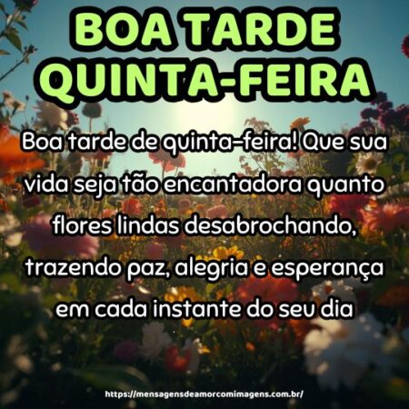 Boa tarde de quinta-feira! Que sua vida seja tão encantadora quanto flores lindas desabrochando, trazendo paz, alegria e esperança em cada instante do seu dia.