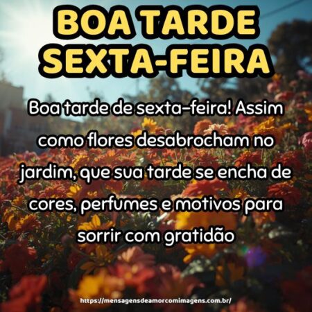Boa tarde de sexta-feira! Assim como flores desabrocham no jardim, que sua tarde se encha de cores, perfumes e motivos para sorrir com gratidão.