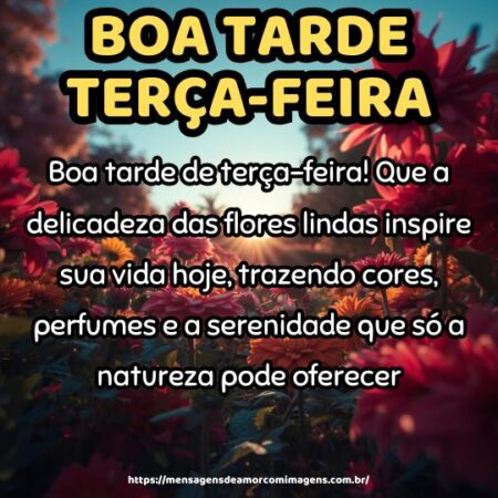 Boa tarde de terça-feira! Que a delicadeza das flores lindas inspire sua vida hoje, trazendo cores, perfumes e a serenidade que só a natureza pode oferecer.