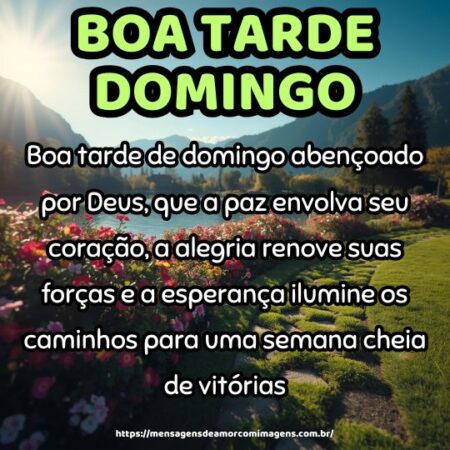 Boa tarde de domingo abençoado por Deus, que a paz envolva seu coração, a alegria renove suas forças e a esperança ilumine os caminhos para uma semana cheia de vitórias.